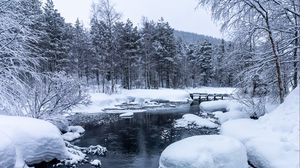 Preview wallpaper forest, river, snow, bridge, snowy