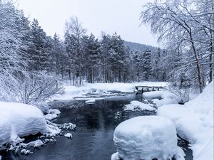 Preview wallpaper forest, river, snow, bridge, snowy