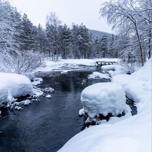 Preview wallpaper forest, river, snow, bridge, snowy