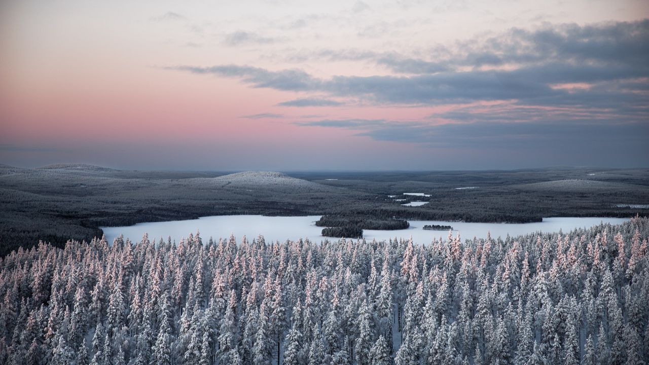 Wallpaper forest, river, snow, aerial view, landscape, winter
