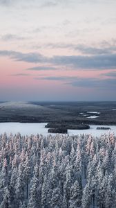Preview wallpaper forest, river, snow, aerial view, landscape, winter