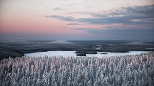 Preview wallpaper forest, river, snow, aerial view, landscape, winter