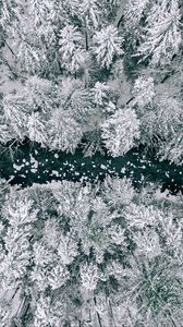 Preview wallpaper forest, river, snow, aerial view, winter
