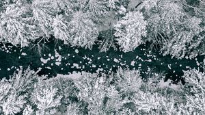 Preview wallpaper forest, river, snow, aerial view, winter