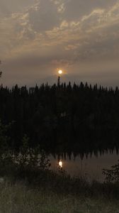 Preview wallpaper forest, river, trees, moon, evening, nature