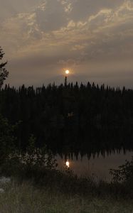 Preview wallpaper forest, river, trees, moon, evening, nature