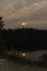 Preview wallpaper forest, river, trees, moon, evening, nature
