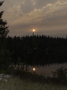 Preview wallpaper forest, river, trees, moon, evening, nature