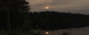 Preview wallpaper forest, river, trees, moon, evening, nature