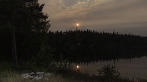 Preview wallpaper forest, river, trees, moon, evening, nature