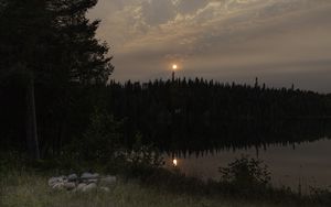 Preview wallpaper forest, river, trees, moon, evening, nature