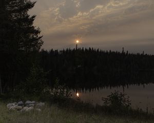 Preview wallpaper forest, river, trees, moon, evening, nature