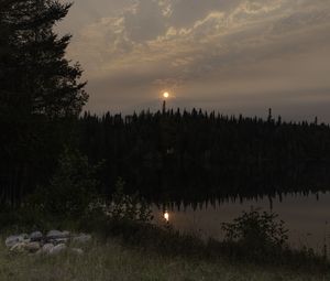 Preview wallpaper forest, river, trees, moon, evening, nature