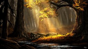 Forest full hd, hdtv, fhd, 1080p wallpapers hd, desktop backgrounds  1920x1080, images and pictures