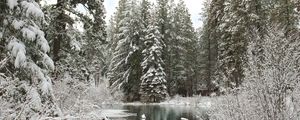Preview wallpaper forest, river, winter, snow, landscape