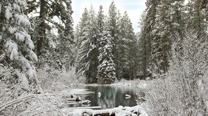 Preview wallpaper forest, river, winter, snow, landscape