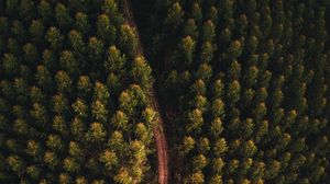 Preview wallpaper forest, road, aerial view, trees, tops