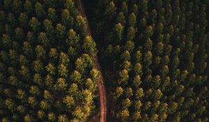 Preview wallpaper forest, road, aerial view, trees, tops