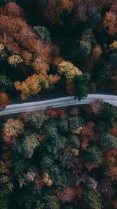 Preview wallpaper forest, road, aerial view, trees, treetops