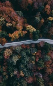 Preview wallpaper forest, road, aerial view, trees, treetops