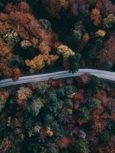 Preview wallpaper forest, road, aerial view, trees, treetops