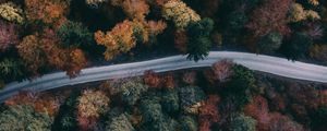 Preview wallpaper forest, road, aerial view, trees, treetops