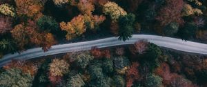 Preview wallpaper forest, road, aerial view, trees, treetops