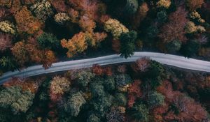 Preview wallpaper forest, road, aerial view, trees, treetops