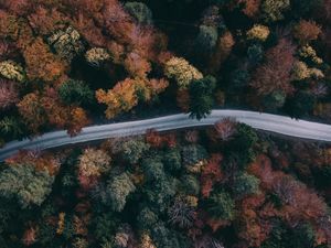 Preview wallpaper forest, road, aerial view, trees, treetops