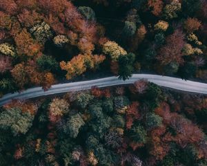 Preview wallpaper forest, road, aerial view, trees, treetops