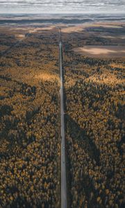 Preview wallpaper forest, road, aerial view, overview, height