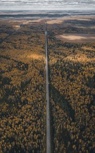 Preview wallpaper forest, road, aerial view, overview, height