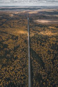 Preview wallpaper forest, road, aerial view, overview, height
