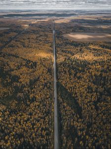 Preview wallpaper forest, road, aerial view, overview, height