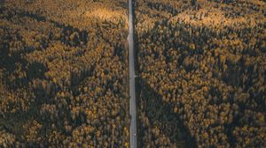Preview wallpaper forest, road, aerial view, overview, height