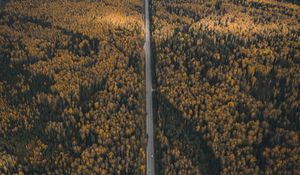 Preview wallpaper forest, road, aerial view, overview, height