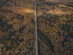 Preview wallpaper forest, road, aerial view, overview, height