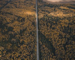 Preview wallpaper forest, road, aerial view, overview, height