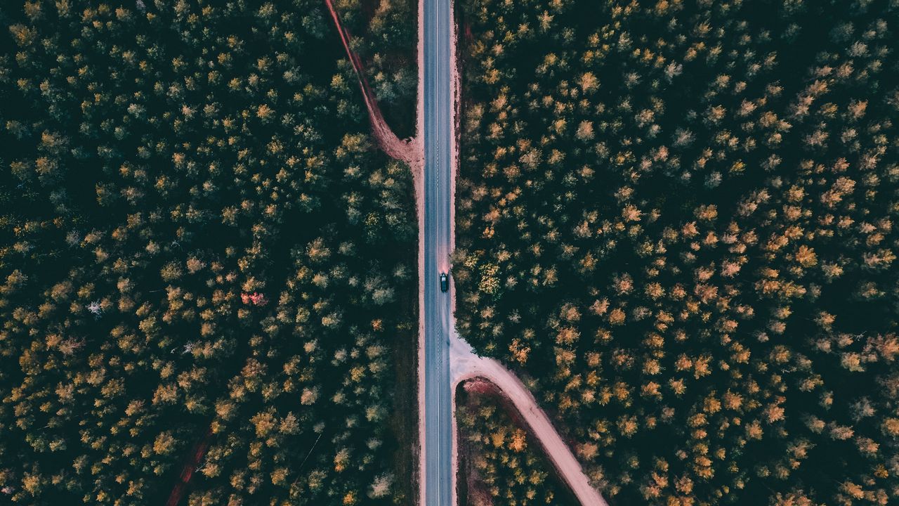 Wallpaper forest, road, aerial view, trees, treetops