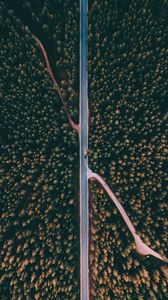 Preview wallpaper forest, road, aerial view, trees, treetops