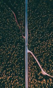 Preview wallpaper forest, road, aerial view, trees, treetops