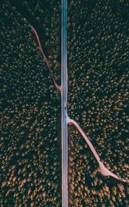 Preview wallpaper forest, road, aerial view, trees, treetops