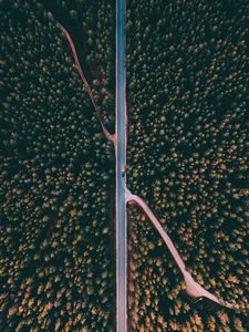 Preview wallpaper forest, road, aerial view, trees, treetops