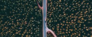 Preview wallpaper forest, road, aerial view, trees, treetops