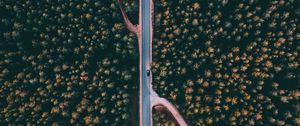 Preview wallpaper forest, road, aerial view, trees, treetops