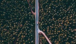 Preview wallpaper forest, road, aerial view, trees, treetops