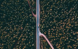 Preview wallpaper forest, road, aerial view, trees, treetops