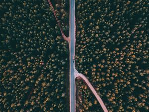 Preview wallpaper forest, road, aerial view, trees, treetops