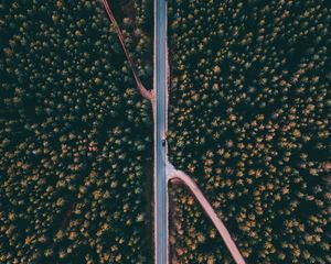 Preview wallpaper forest, road, aerial view, trees, treetops