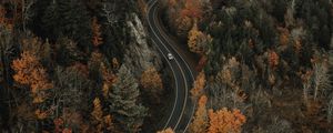 Preview wallpaper forest, road, aerial view, overview, height